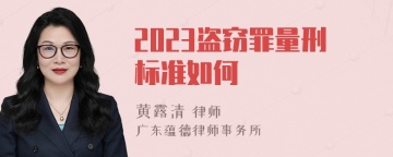 2023盗窃罪量刑标准如何