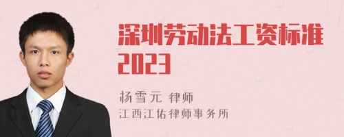 深圳劳动法工资标准2023