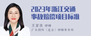 2023年浙江交通事故赔偿项目标准