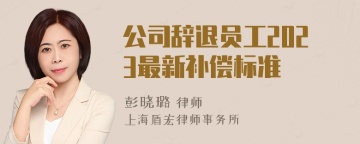 公司辞退员工2023最新补偿标准