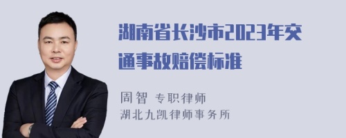 湖南省长沙市2023年交通事故赔偿标准
