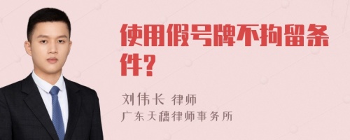 使用假号牌不拘留条件?