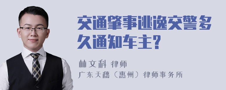 交通肇事逃逸交警多久通知车主?