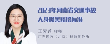 2023年河南省交通事故人身损害赔偿标准