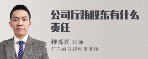 公司行贿股东有什么责任