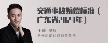 交通事故赔偿标准（广东省2023年）