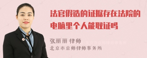 法官假造的证据存在法院的电脑里个人能取证吗