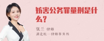 妨害公务罪量刑是什么？