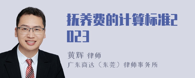 抚养费的计算标准2023