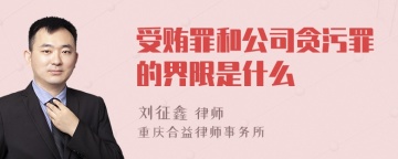 受贿罪和公司贪污罪的界限是什么