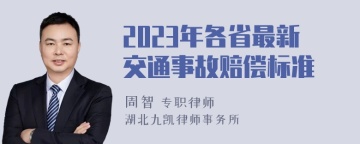 2023年各省最新交通事故赔偿标准