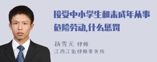 接受中小学生和未成年从事危险劳动,什么惩罚