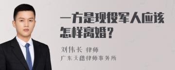 一方是现役军人应该怎样离婚？