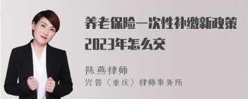 养老保险一次性补缴新政策2023年怎么交