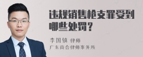 违规销售枪支罪受到哪些处罚？