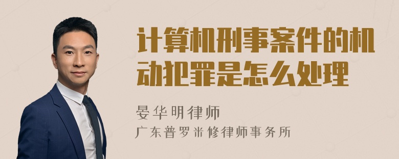 计算机刑事案件的机动犯罪是怎么处理