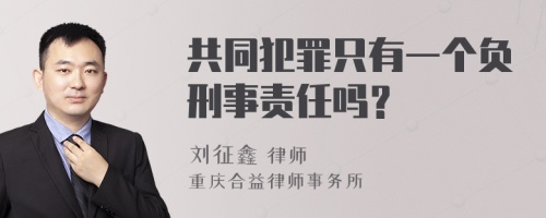 共同犯罪只有一个负刑事责任吗？