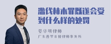 滥伐林木罪既遂会受到什么样的处罚