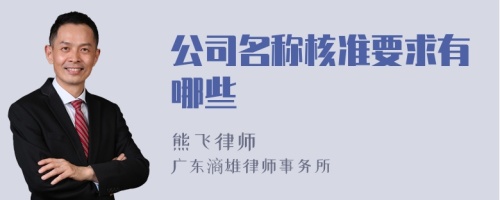 公司名称核准要求有哪些