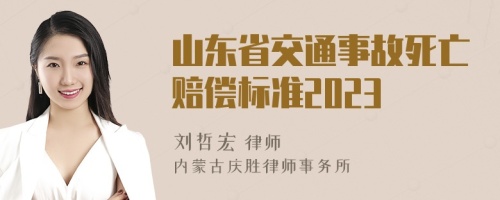 山东省交通事故死亡赔偿标准2023