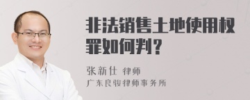 非法销售土地使用权罪如何判？