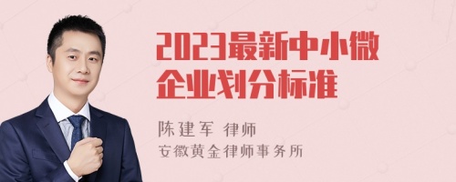 2023最新中小微企业划分标准