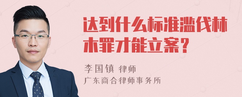 达到什么标准滥伐林木罪才能立案？