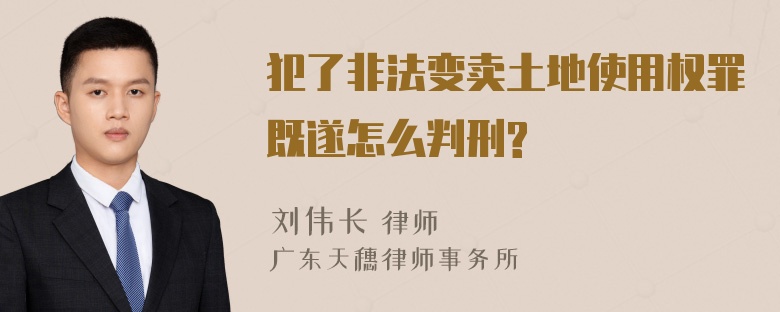 犯了非法变卖土地使用权罪既遂怎么判刑?