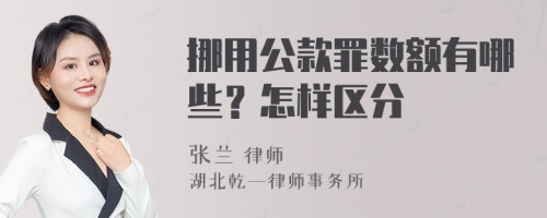 挪用公款罪数额有哪些？怎样区分