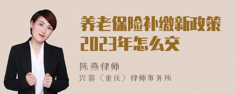 养老保险补缴新政策2023年怎么交