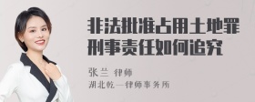 非法批准占用土地罪刑事责任如何追究