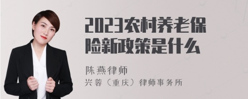 2023农村养老保险新政策是什么