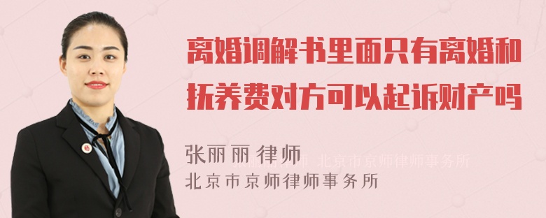 离婚调解书里面只有离婚和抚养费对方可以起诉财产吗