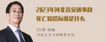 2023年河北省交通事故死亡赔偿标准是什么