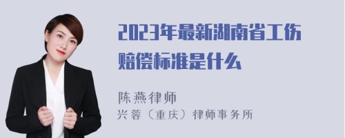 2023年最新湖南省工伤赔偿标准是什么