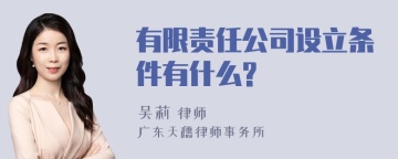 有限责任公司设立条件有什么?