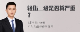 轻伤二级是否算严重？