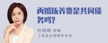 再婚抚养费是共同债务吗?