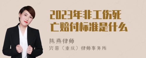 2023年非工伤死亡赔付标准是什么