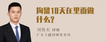 拘留10天在里面做什么?