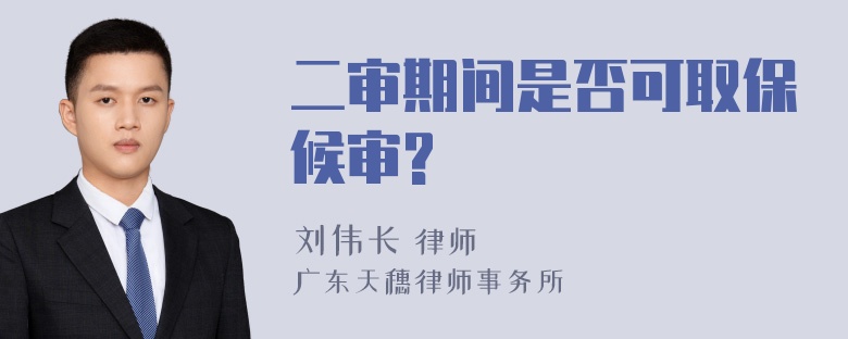 二审期间是否可取保候审?