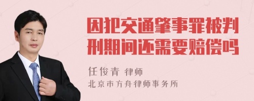 因犯交通肇事罪被判刑期间还需要赔偿吗