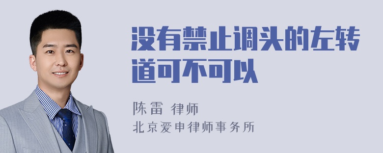 没有禁止调头的左转道可不可以