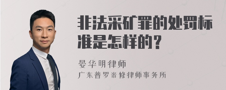 非法采矿罪的处罚标准是怎样的？