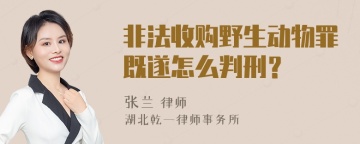 非法收购野生动物罪既遂怎么判刑？