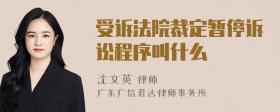 受诉法院裁定暂停诉讼程序叫什么