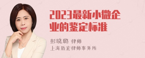 2023最新小微企业的鉴定标准