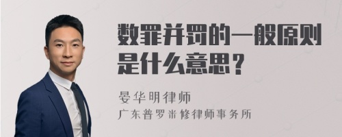 数罪并罚的一般原则是什么意思？