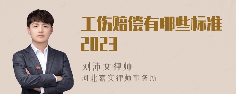 工伤赔偿有哪些标准2023