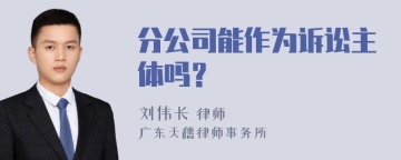 分公司能作为诉讼主体吗？